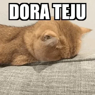 😂 emoji Dora teju Telegram sticker 12 of 47