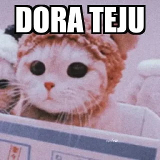🥺 emoji Dora teju Telegram sticker 3 of 47
