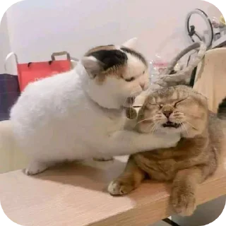 🐱 emoji Your stickers - @luwis_sticker Telegram sticker 20 of 115