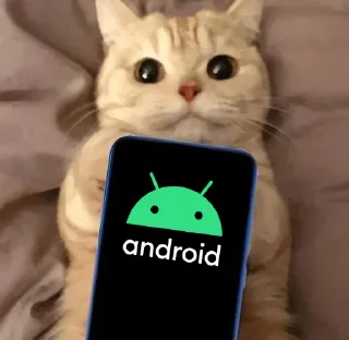 Sticker from Other roms