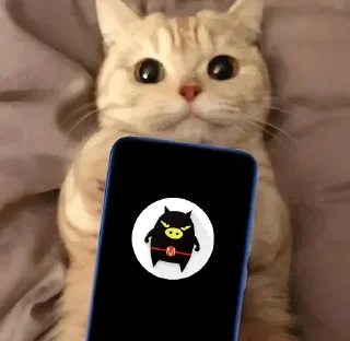 Sticker from Other roms