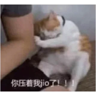 Sticker from 上班打瞌睡 下班笑嘻嘻的二倩 @xiaotianxinya