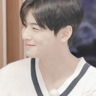 Sticker from 𖠵eunwoo' @cicha4xr