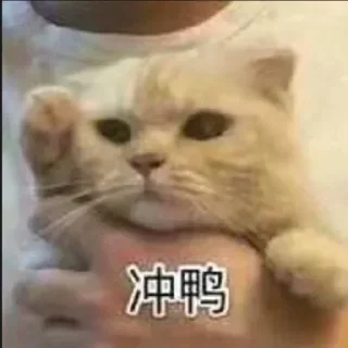 👀 emoji 李文杰的贴纸 Telegram sticker 19 of 120