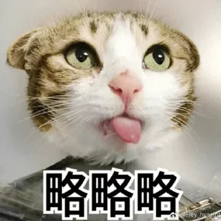 😛 emoji 李文杰的贴纸 Telegram sticker 1 of 120