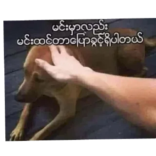 👍 emoji Shinnnnnအပိုင်စတစ် ယူသုံးရင်ဖင်လိုးမယ် Telegram sticker 8 of 38