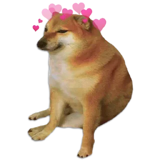 🥰 emoji Cheems @undestined Telegram sticker 12 of 80