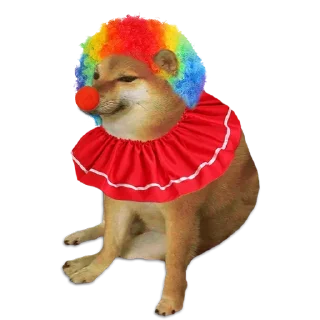 🤡 emoji Cheems @undestined Telegram sticker 13 of 80