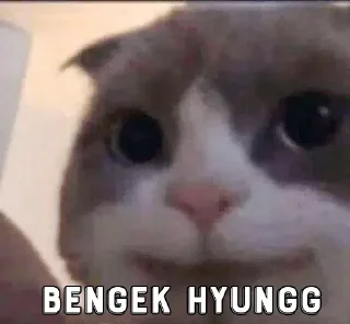 🤔 emoji @XNXXGANG's kang pack Vol.3 Telegram sticker 24 of 98