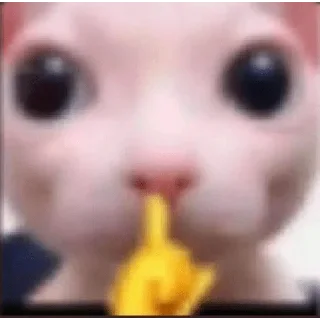 😀 emoji Pa' Responder Shitpost 💩 Telegram sticker 11 of 15