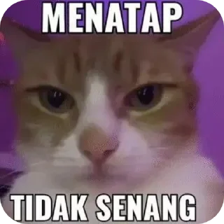 🤨 emoji Stiker receh Telegram sticker 16 of 33