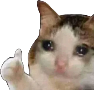 🥺 emoji 𝐙𝐚𝐢𝐧's video pack Telegram sticker 15 of 43