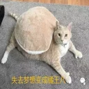 😂 emoji 吉米自用 Telegram sticker 19 of 54