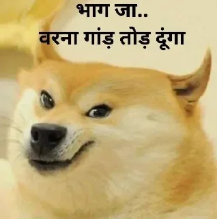 😗 emoji चीम्स कुत्ते के मीम्स🐶 @r_squared_rishabh — @stckrRobot Telegram sticker 21 of 65
