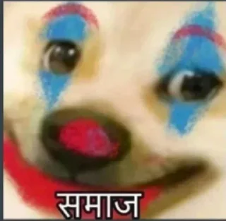 🃏 emoji चीम्स कुत्ते के मीम्स🐶 @r_squared_rishabh — @stckrRobot Telegram sticker 19 of 65