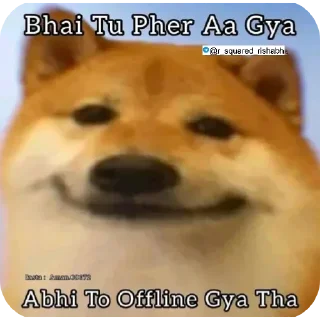 📴 emoji चीम्स कुत्ते के मीम्स🐶 @r_squared_rishabh — @stckrRobot Telegram sticker 5 of 65