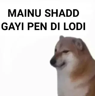 ✨ emoji Punjabi Cheems Mr7Professor Telegram sticker 15 of 39