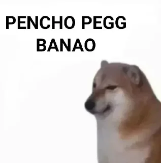 ✨ emoji Punjabi Cheems Mr7Professor Telegram sticker 20 of 39