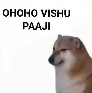 ✨ emoji Punjabi Cheems Mr7Professor Telegram sticker 4 of 39