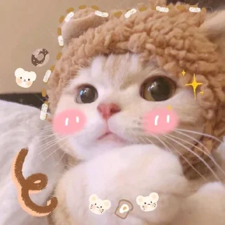 🥰 emoji 芬達 Telegram sticker 20 of 32