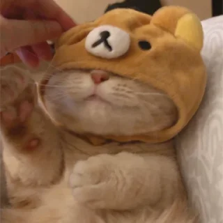 🥺 emoji 芬達 Telegram sticker 13 of 32