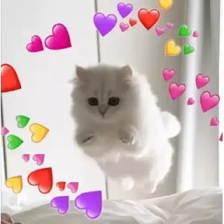 ❤ emoji बागड बिल्लाs kang pack Telegram sticker 2 of 67