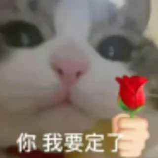 Sticker from 大帅之手出品