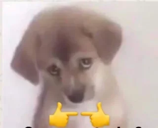 🥺 emoji Your stickers - @my_stckers_bot Telegram sticker 7 of 79