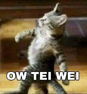 🔥 emoji Your stickers - @my_stckers_bot Telegram sticker 10 of 39