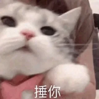 😅 emoji 芋圆 Telegram sticker 24 of 120