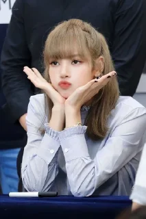 🖇️ emoji ᥣᥲᥣіsᥲ s𝗍іᥴkᥱrs ~ @lalisa_sticker Telegram sticker 11 of 12