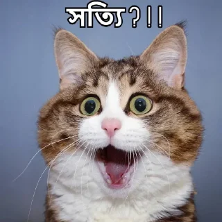😐 emoji @Yourjahid's Kang Pack Vol.0 Telegram sticker 18 of 41