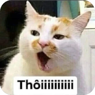 🫥 emoji Mr.T Telegram sticker 17 of 91