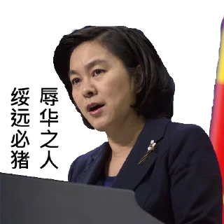 Sticker from 中共外交部发言人华春莹
