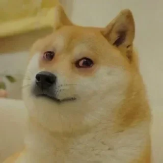 😏 emoji SwagggyyDogggee Telegram sticker 21 of 76