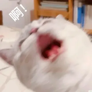😲 emoji мαηαν's pack Telegram sticker 19 of 103