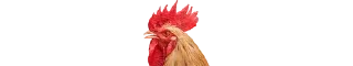 🐓 emoji MINI [ @Mr_psychopath] Telegram sticker 13 of 41