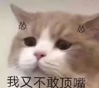 😿 emoji 小网警的喵喵 Telegram sticker 19 of 78