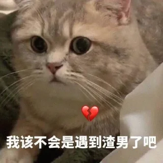 😟 emoji 小网警的喵喵 Telegram sticker 13 of 78