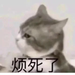 😒 emoji 小网警的喵喵 Telegram sticker 24 of 78