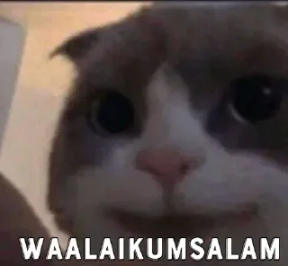 🤔 emoji HALAL MODE✅   ㅤㅤㅤㅤㅤㅤㅤㅤㅤㅤㅤㅤㅤㅤㅤㅤㅤㅤㅤㅤㅤㅤㅤㅤㅤㅤㅤㅤㅤㅤㅤㅤㅤㅤㅤㅤ⁩

⁨ ➡️ @Ctike Telegram sticker 16 of 120