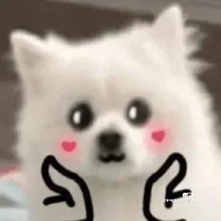 Sticker from oshimeinu~修狗