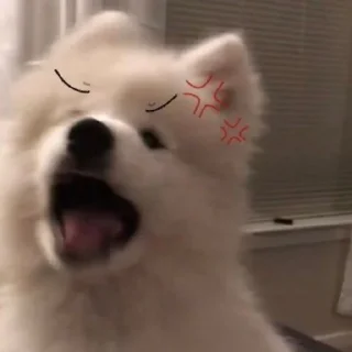 🐾 emoji aden punya Telegram sticker 9 of 13
