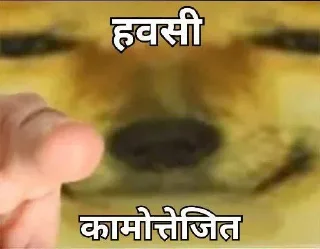 Sticker from Dogendra bhaiya ke sticker — @stckrRobot