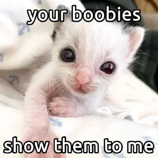 🍑 emoji Crazy shit Telegram sticker 18 of 118