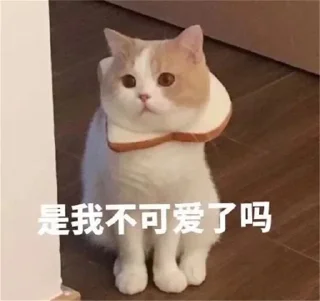 😍 emoji 小玉米专属 Telegram sticker 19 of 70