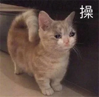 😳 emoji 小玉米专属 Telegram sticker 17 of 70