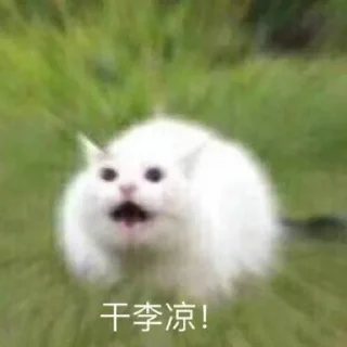 ❤️ emoji 猫四的表情包 Telegram sticker 15 of 118