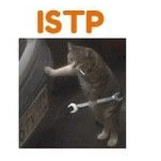 Sticker from nyamm MBTI