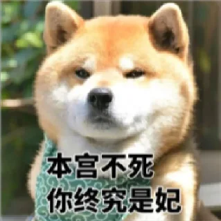😆 emoji 华人交流群：  @TG_CHone Telegram sticker 21 of 82